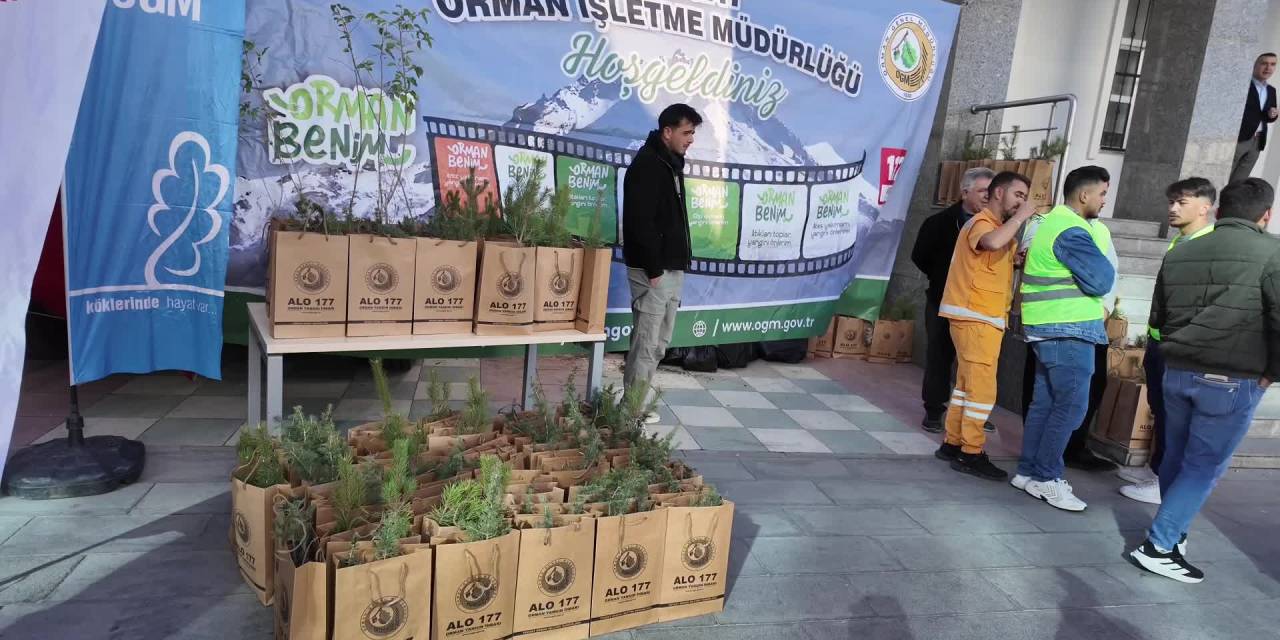 Yozgat’ta 4 milyon fidan dikilecek