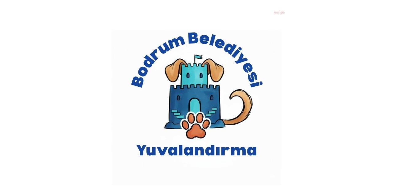 Bodrum'da sokak hayvanları için yuvalandırma platformu devrede