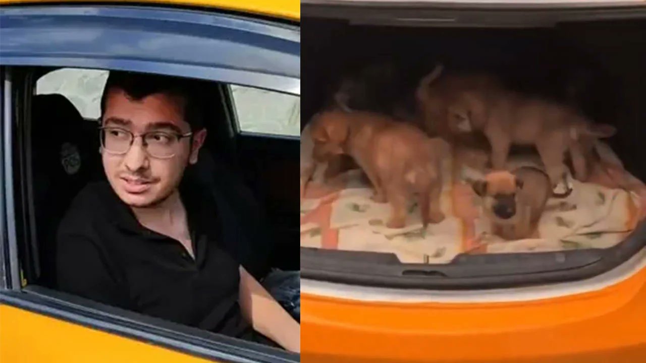 Onlarca köpeğe cinsel saldırıda bulunup öldüren doktora 9 yıl 9 ay hapis cezası