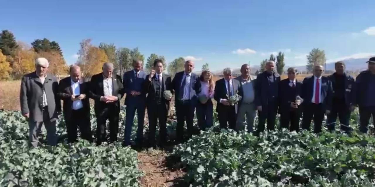Erzurum'da çiftçilerin umutlarını yeşerten brokoli projesi