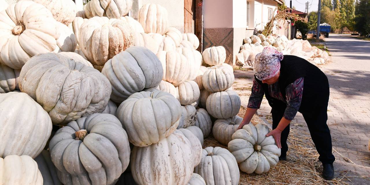 Kızılinler bal kabağı panayırı Tepebaşı'nda kapılarını açıyor