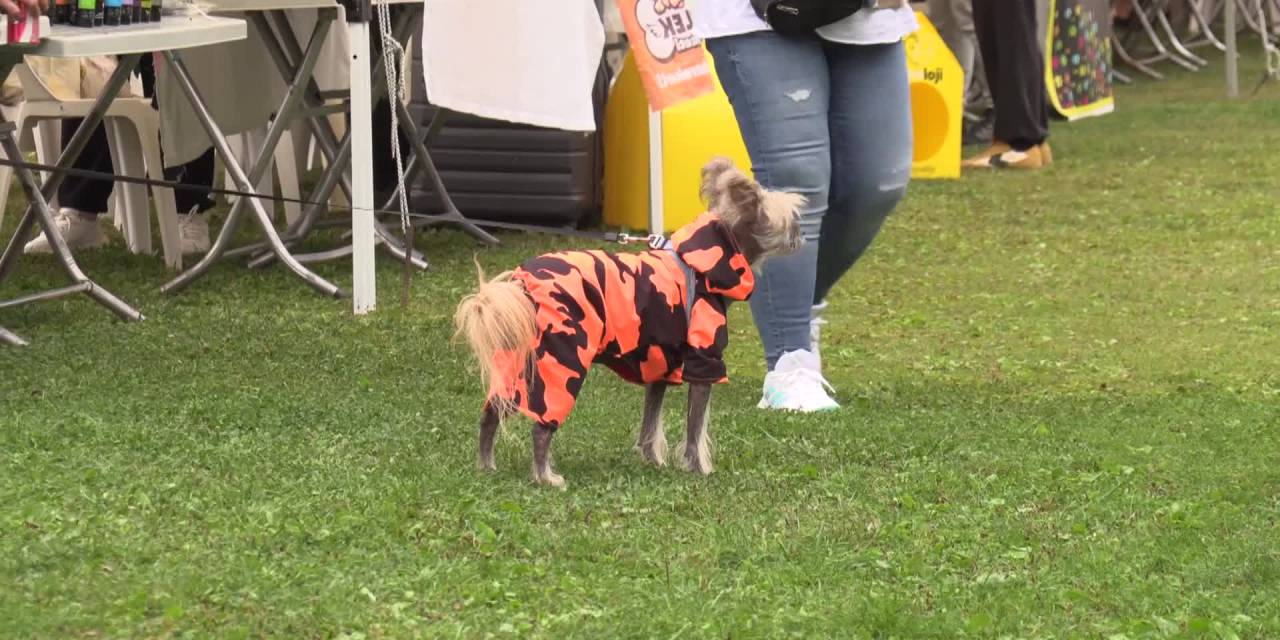 6. Patilerin Festivali'nde sahiplenmenin önemi vurgu yaptı