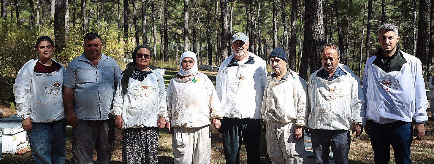 Türk Çam Balı, Manuka ile yarışacak: “Dünyaya tanıtmadan ölmek istemiyorum”