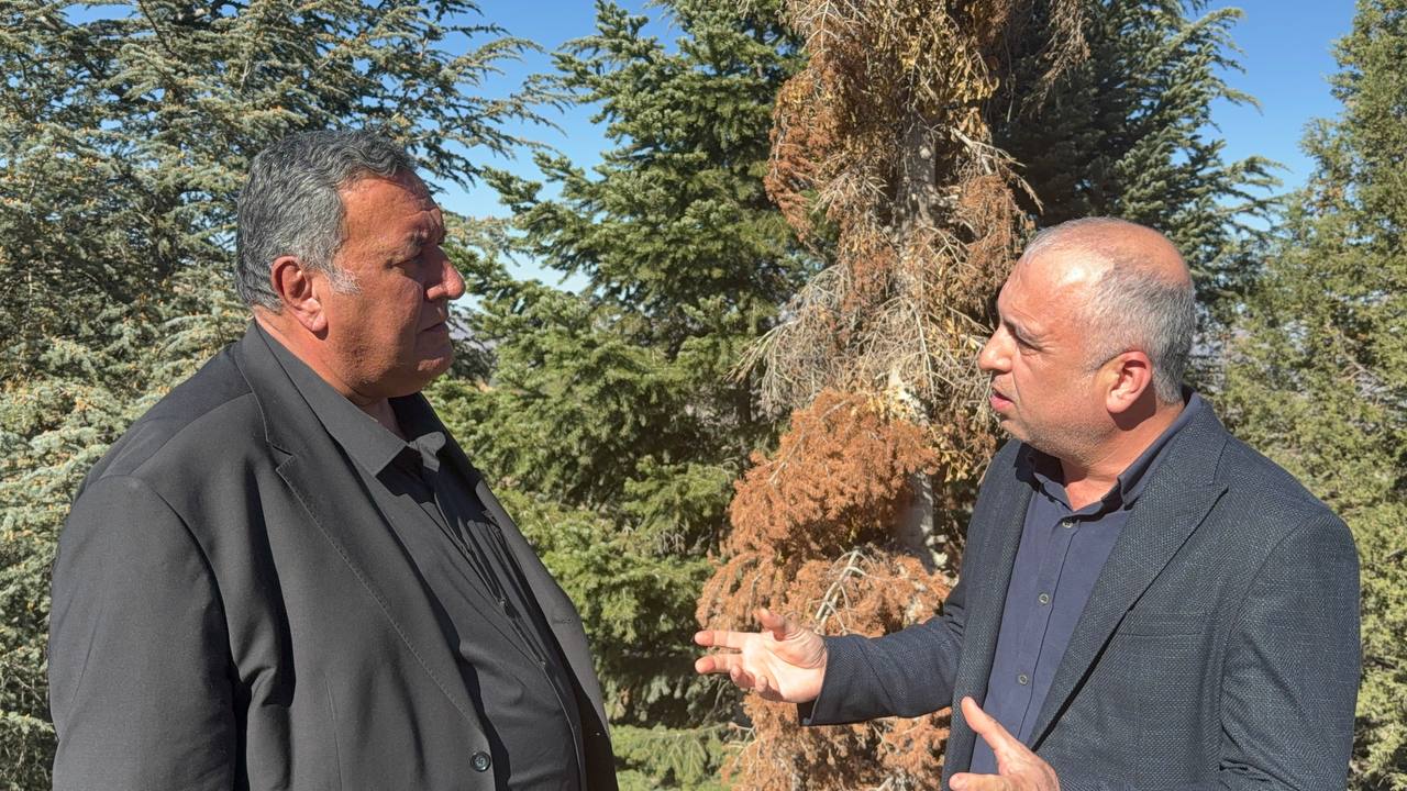 Ömer Fethi Gürer: “Toroslar'da sessiz bir felaket yaşanıyor, böcekler ve ökse otu yüzünden orman kuruyor”