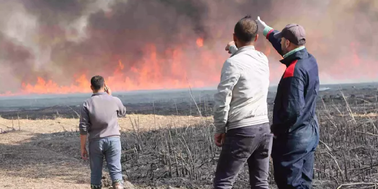 Nehil Sazlığı'ndaki yangın 'kuş cenneti'ne de sıçradı!