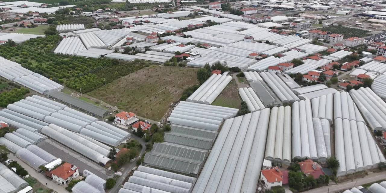 Ortaca'da üreticilere belediyeden destek eli