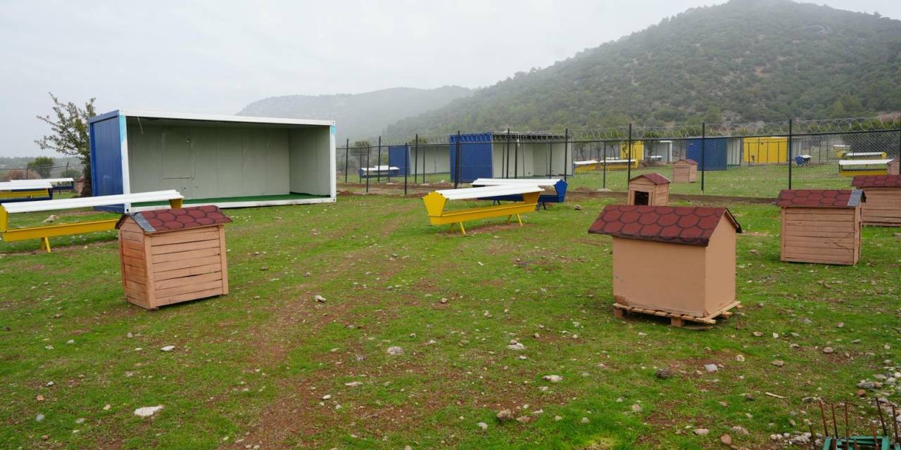 Turgutlu Belediyesi'nden sokak hayvanları için yeni adım