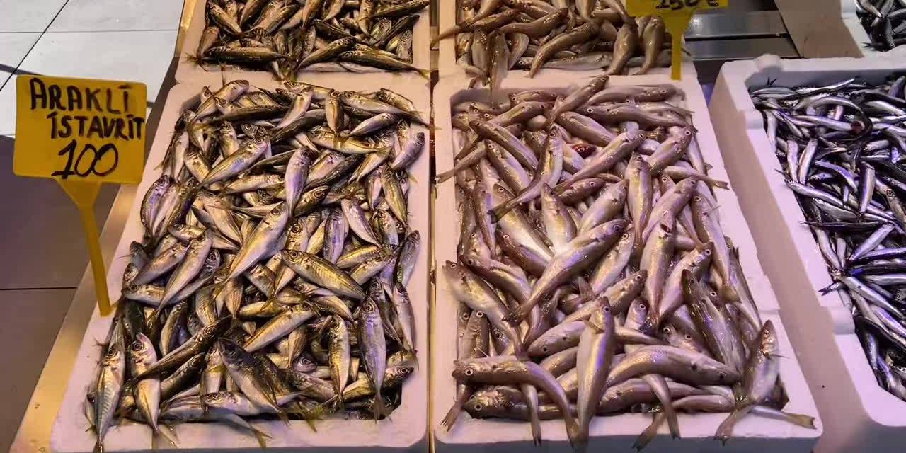 Trabzonlu balıkçı Onur Örseloğlu: "Bu yıl bol balık var"