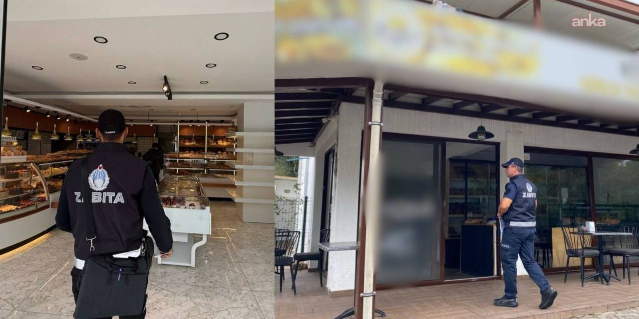 Bodrum'da sağlıklı gıda denetimleri devam ediyor