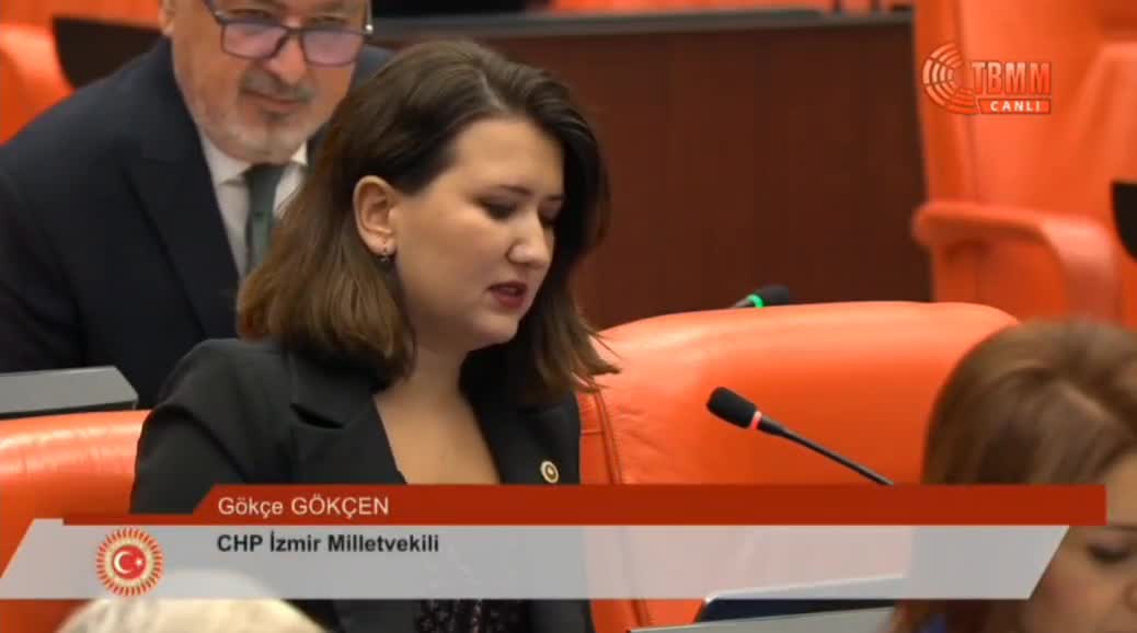 Gökçe Gökçen: "Gazetecilere, gençlere ve siyasetçilere özgürlük şart"