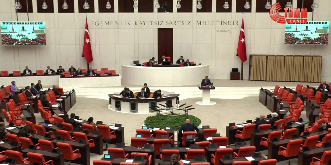 Gülcan Kış: Demokrasiyi zorla sona erdiriyorsunuz