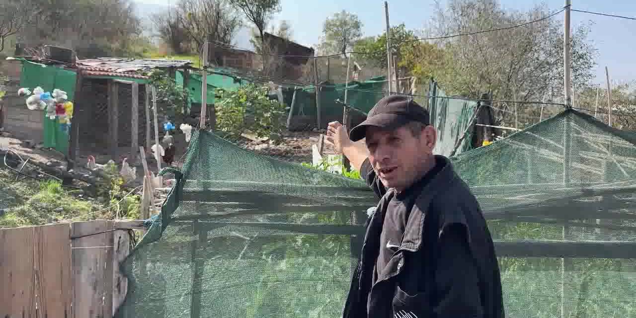 Kozanlı'da hayvan yetiştirme yasağı talebi şaşkınlık yarattı