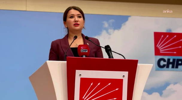 İstanbul'da casusluk iddiaları üzerine Gökçe Gökçen'den sert çıkış