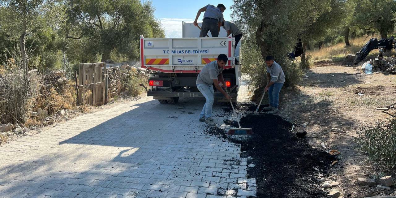 Milas'ta çalışmalar hız kesmiyor