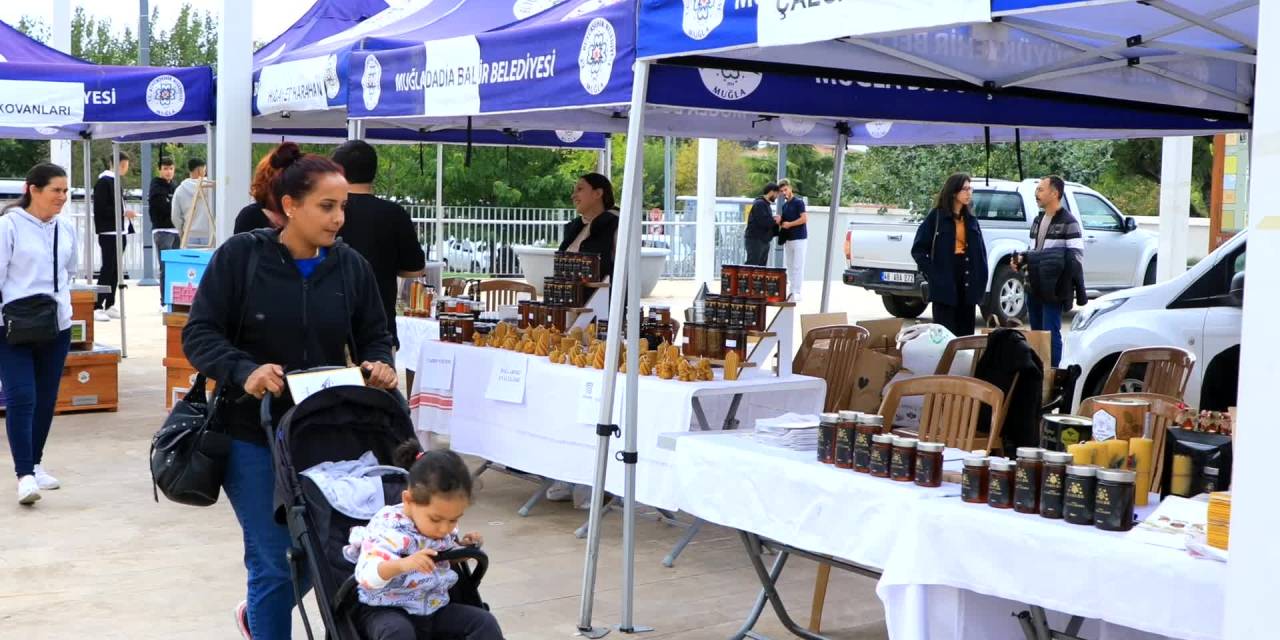 Menteşe'de çam balı hasadı renkli görüntülerle kutlandı