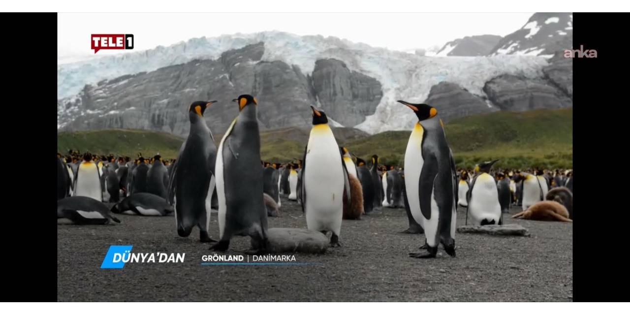 Gökan Zeybek'ten TELE 1'e kayyıma tepki: Acizliktir!