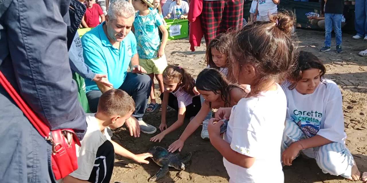 İztuzu'nda tedavi edilmiş 10 kaplumbağa ile 5 yavru denizle buluştu