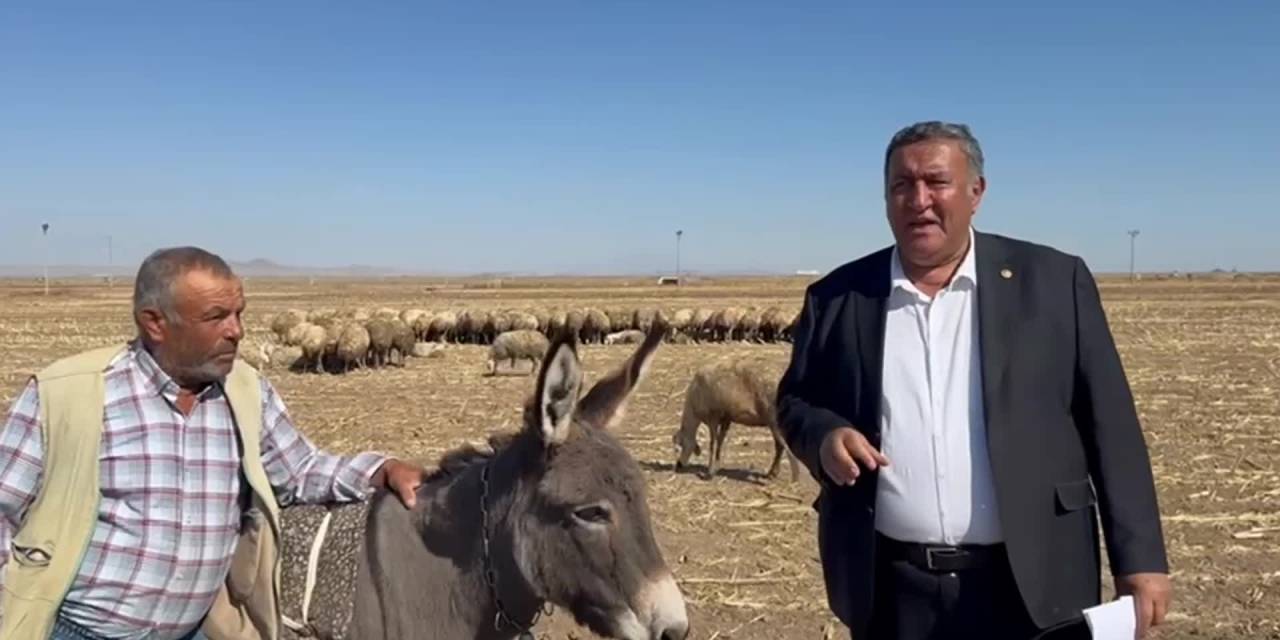 Adem Akgümüş'ün geçim sıkıntısı: "1996’da tek ineğim vardı, Şimdi 20 inekle zor geçiniyorum"