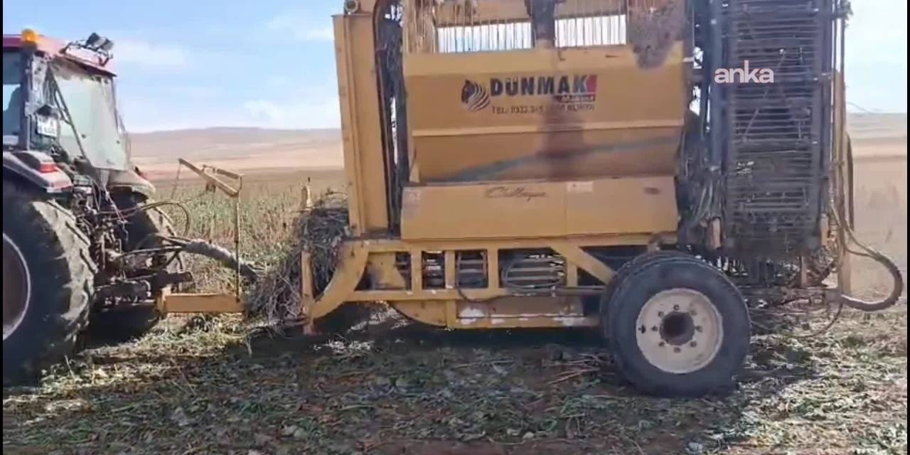 Darendeli pancar üreticisi durumu değerlendi: 'Yüksek maliyetlerle mücadele ediyoruz'