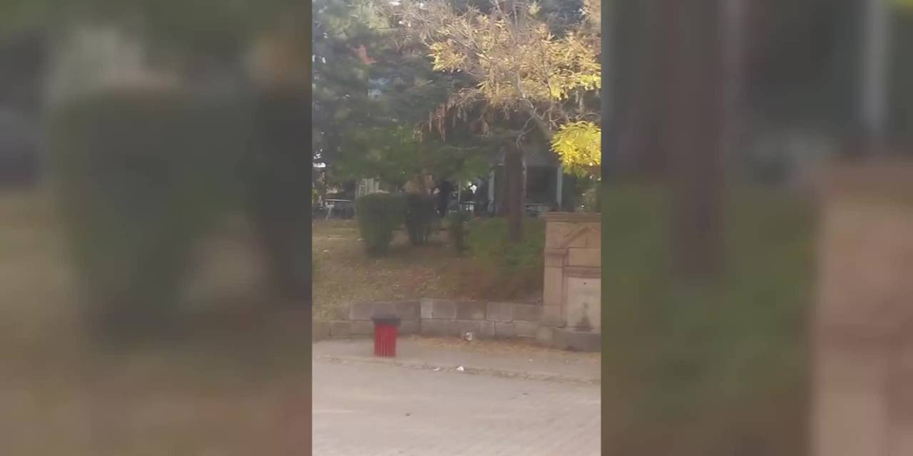 Döner bıçaklı saldırı Hacette Üniversitesi'nde: 4 gözaltı, 1 yaralı