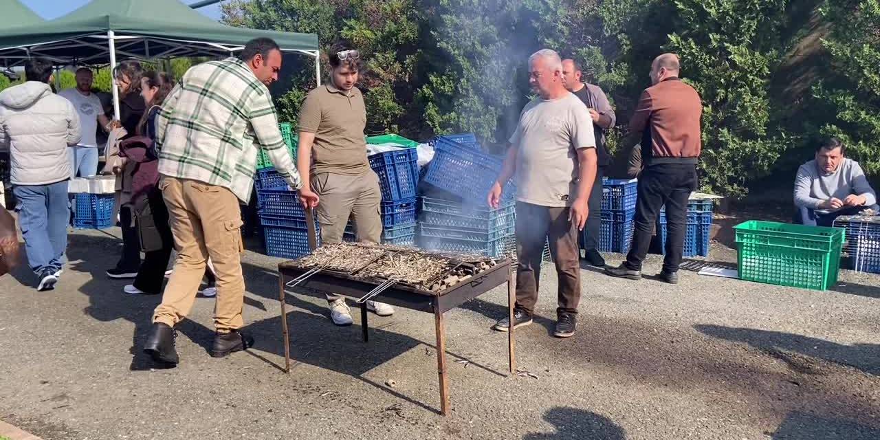 Trabzon'da KTÜ'ye hoş geldin şöleninde 3 ton hamsi servis edildi