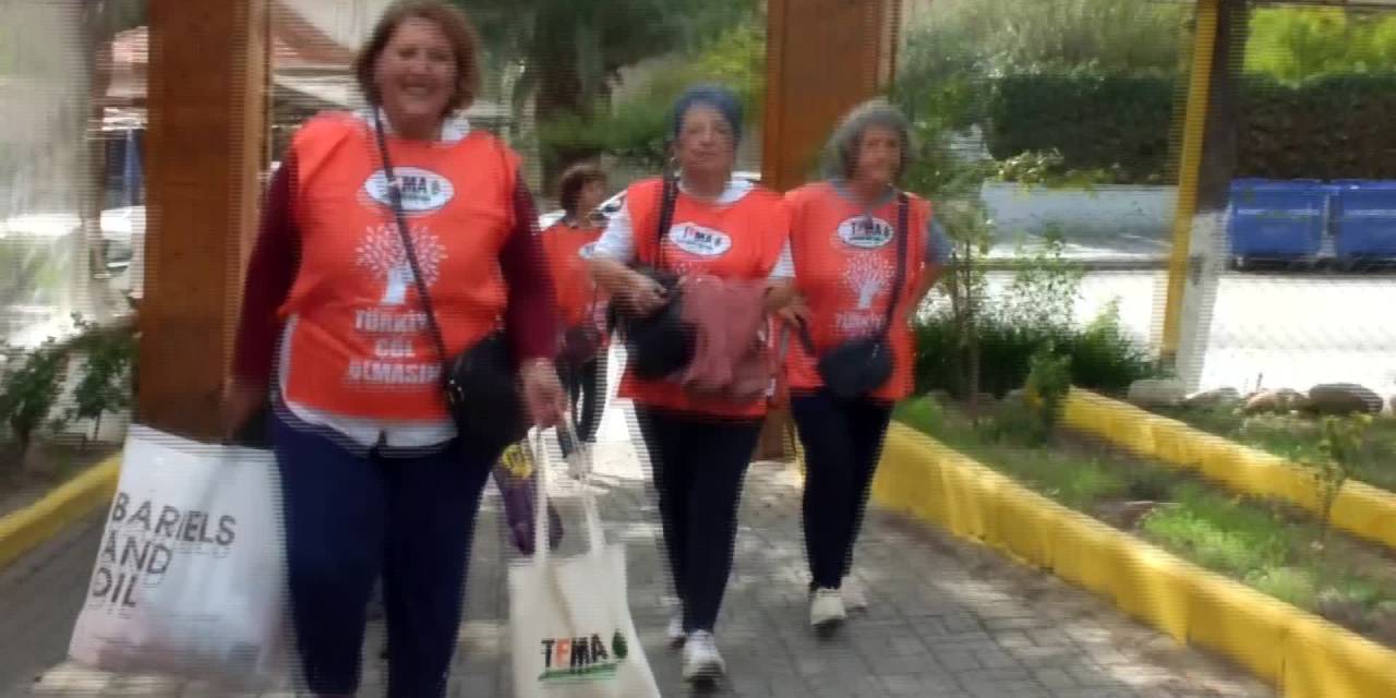 Burhaniye'de palamutlar fidan olma yolunda