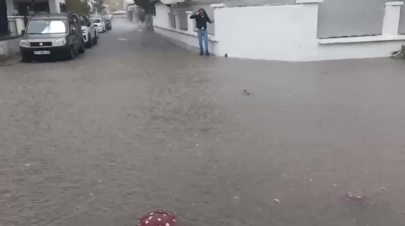 Köyceğiz'de ani yağmur felaketi