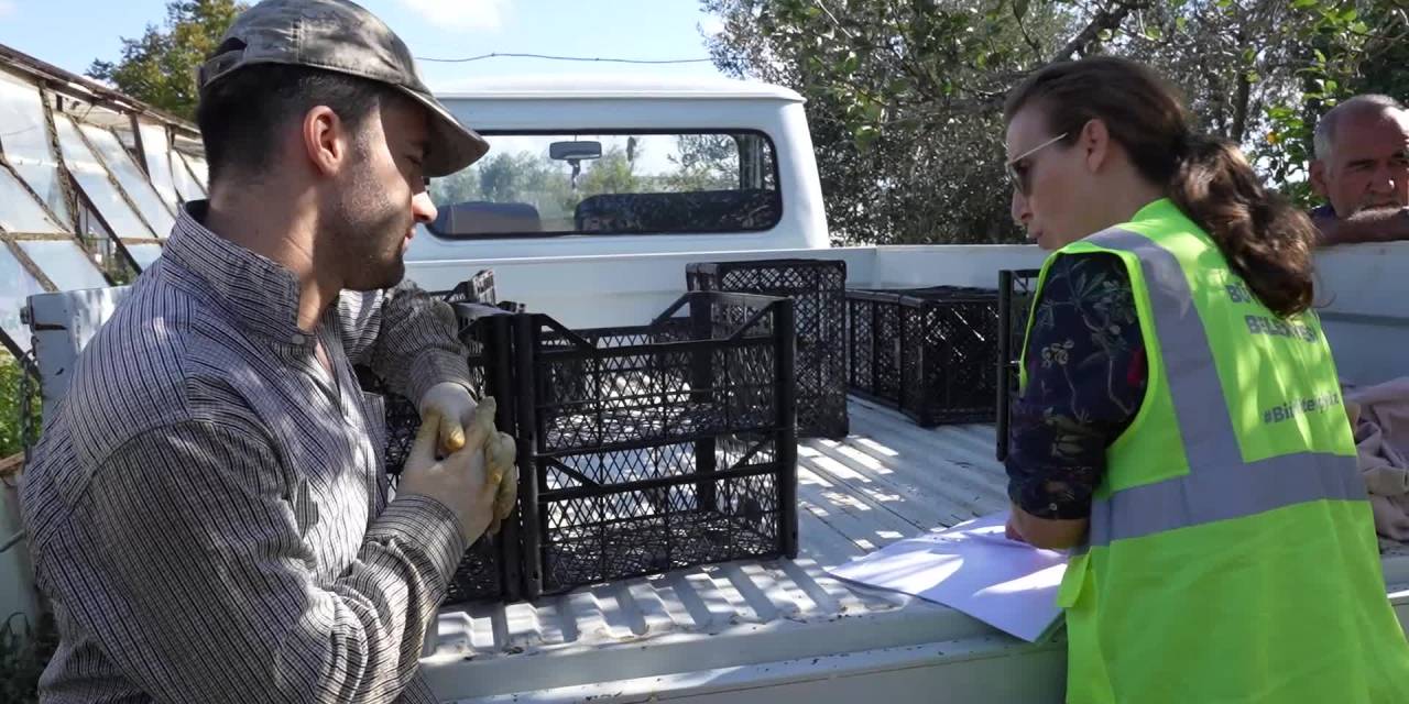 Serik’te hasar tespit çalışmaları sürüyor