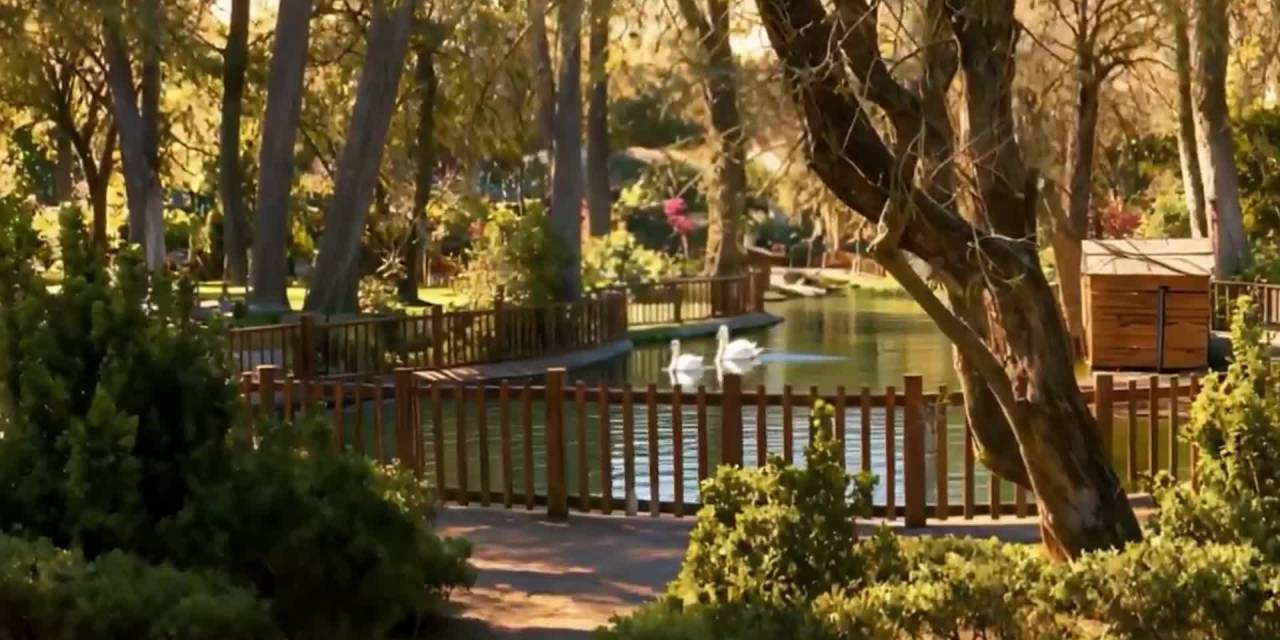 Cumhuriyet Bayramı'na özel görüntüler: Çankaya Belediyesi'nden Atatürk Sanat Merkezi paylaşımı