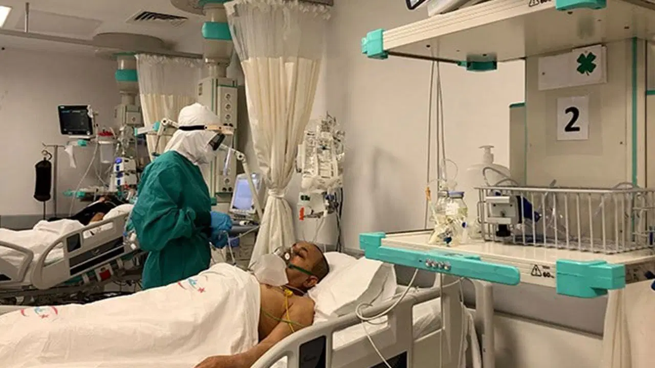 Ankara'dan sonra Bolu'da: 'Deli dana' hastalığı çıktı