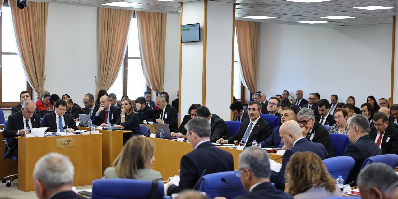 AKP'li Yeğin: "Biz olağanüstü bir ekonomi var diye pembe bir tablo çizmiyoruz"