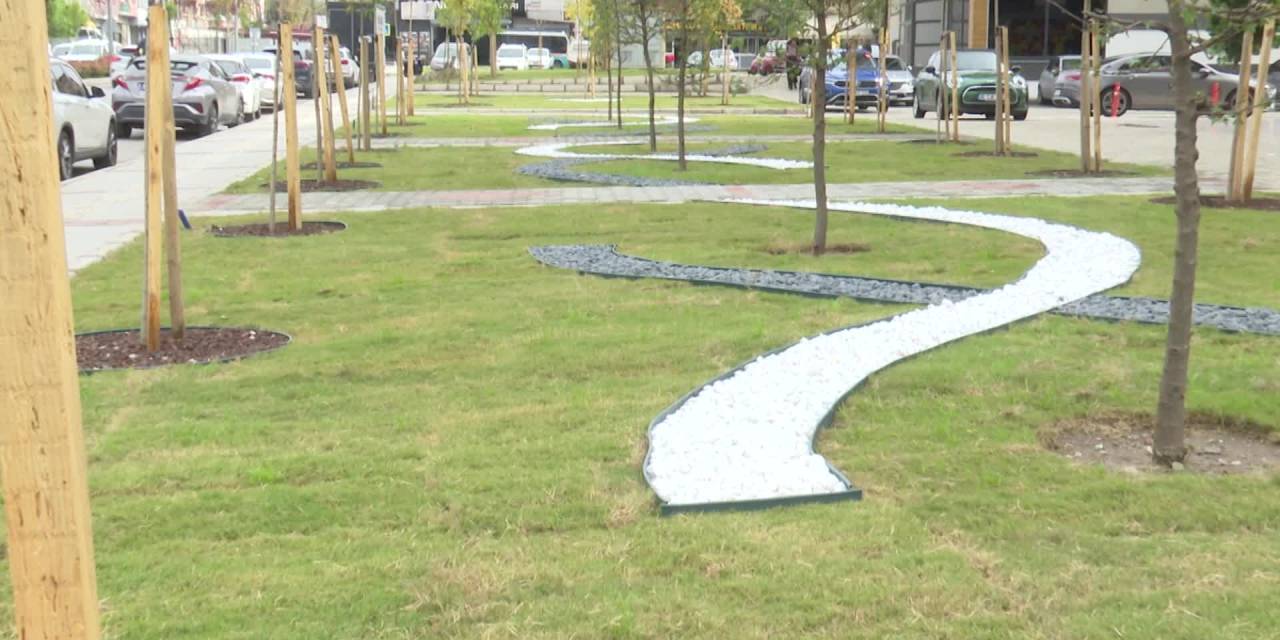 İzmir'de atıl alanlar yeşile kavuşuyor