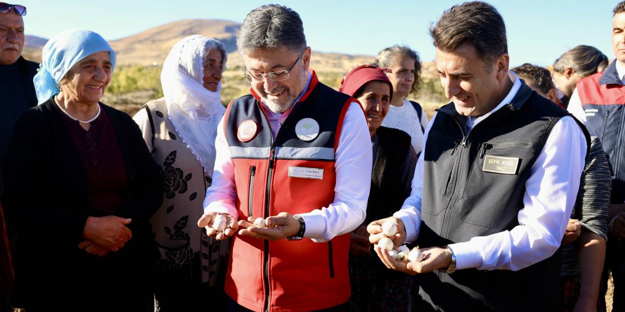 Tunceli sarımsağı için önemli adımlar atılıyor