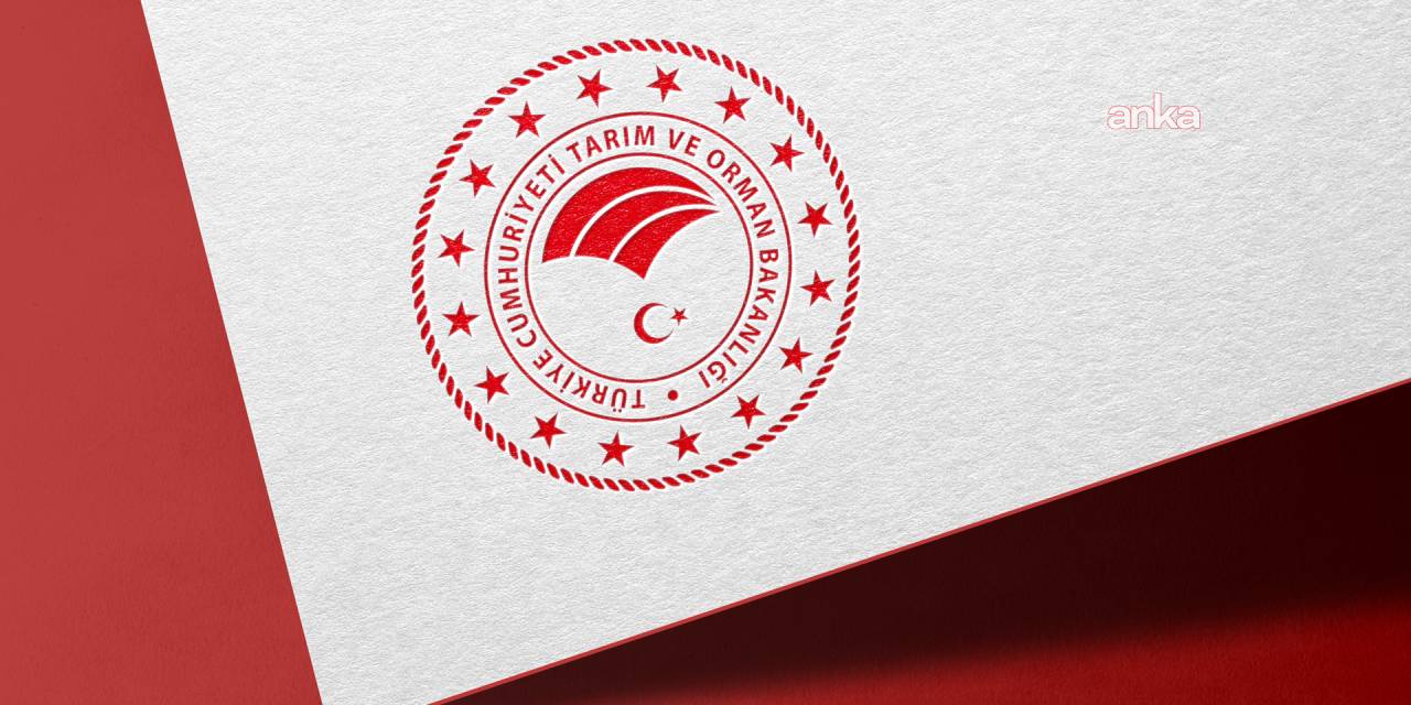 İstanbul, Uluslararası Su Forumu'nu 5. kez ağırlayacak