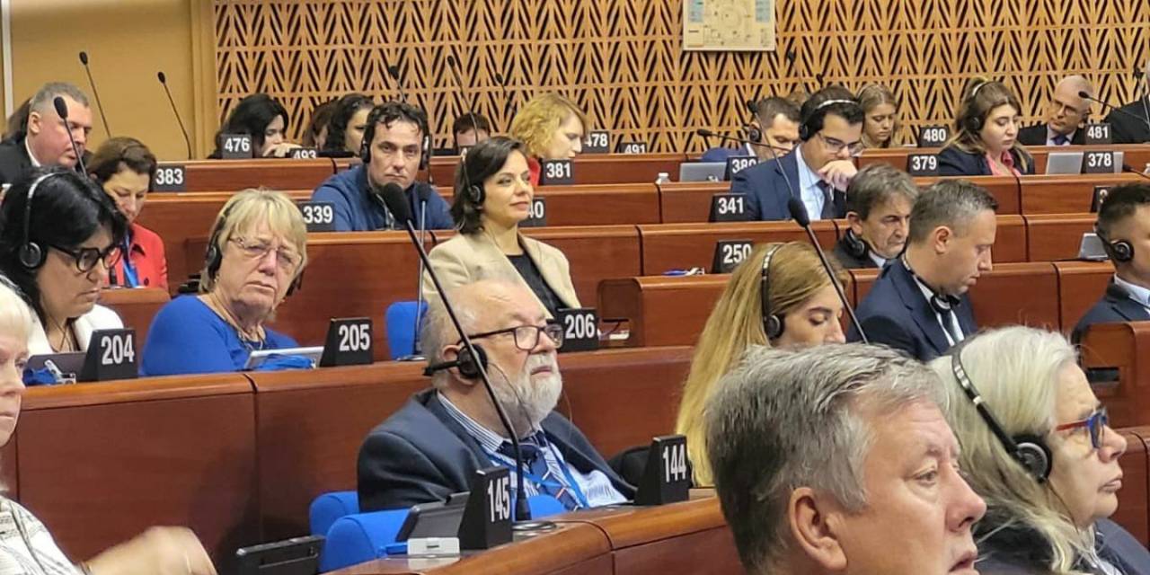 Kınay, Strazburg'da Avrupa Konseyi Genel Kurulu'na katıldı