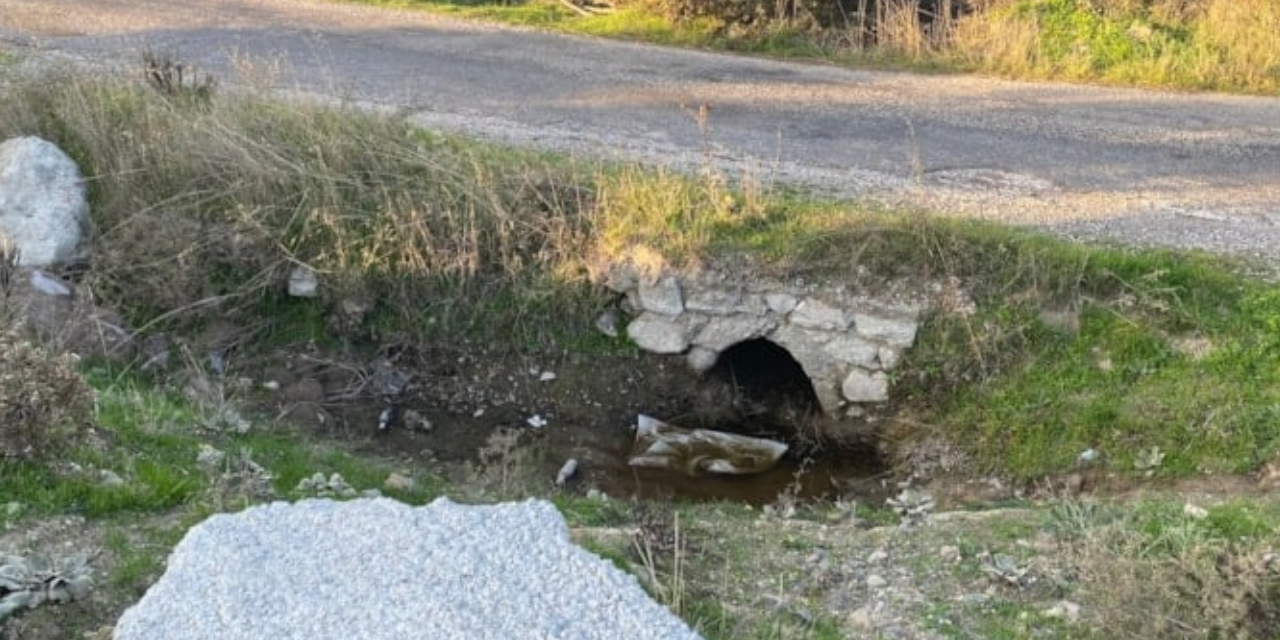 Çanakkale'de kan donduran olay: Arazide henüz göbek bağı kurumamış bebek cesedi bulundu
