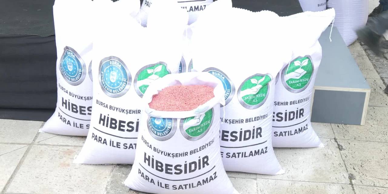 Bursa'dan çiftçilere yerli tohum desteği