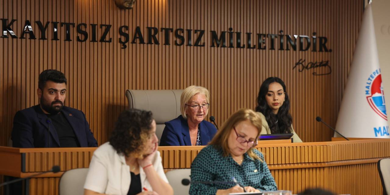 Maltepe Belediye Meclisi'nde kadına yönelik şiddete karşı birlik çağrısı