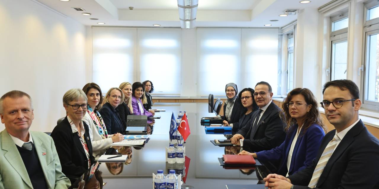 Bozay, BM Kadın Birimi ve İskandinav Ülkeleri Temsilcileri ile Bir Araya Geldi