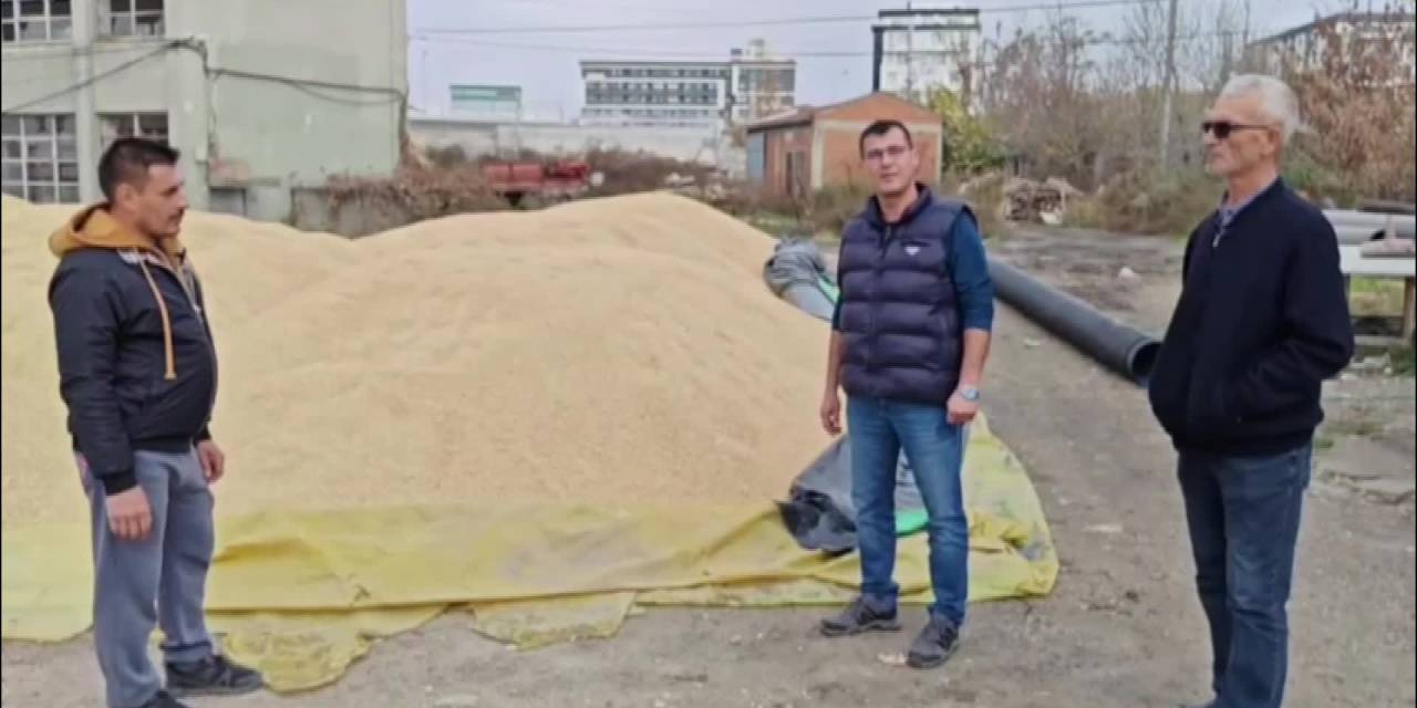 Akgüngör'den TMO'ya çeltik fiyatı eleştirisi: 'Çiftçiyi desteklemezsek bu ülke var olamaz'