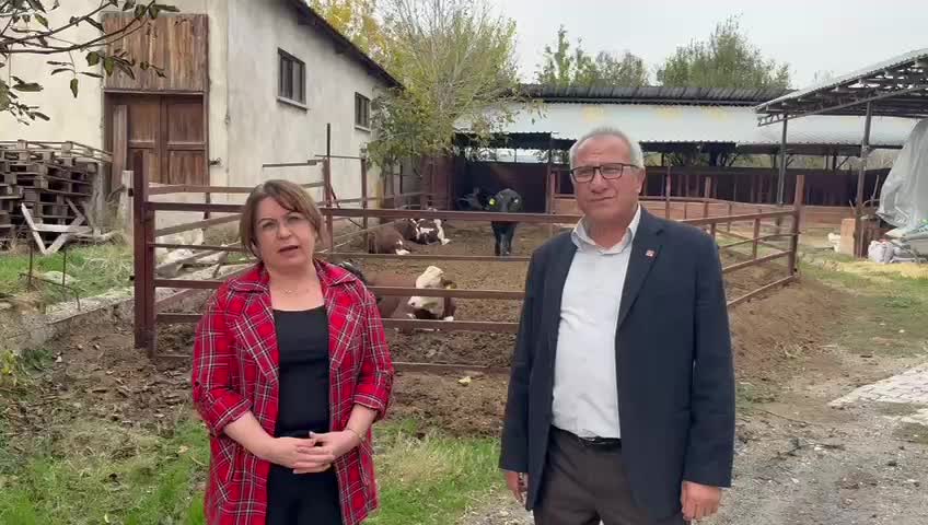 Gülizar Biçer Karaca: Üreticilerin uğradığı şap hastalığı zararları telafi edilmeli