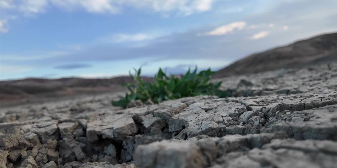 Yozgat'ta su seviyesi alarm veriyor: Başkan Arslan'dan uyarı