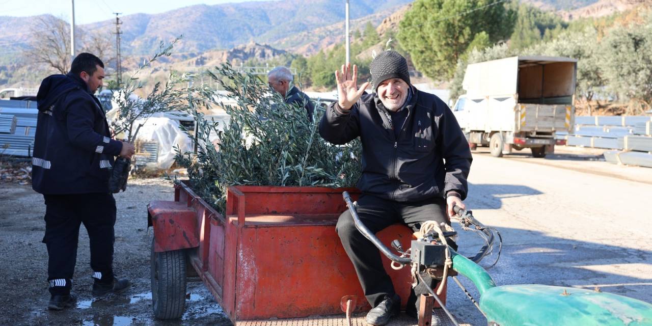 Eskişehir'den zeytin üreticilerine fidan desteği