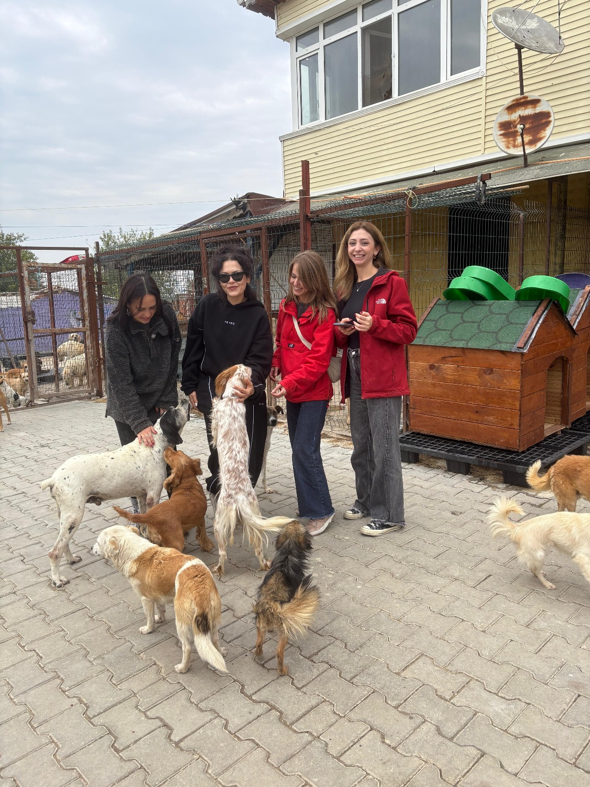 BAT gönüllüleri Mor Pati Barınağı’ndaki dostlarla buluştu