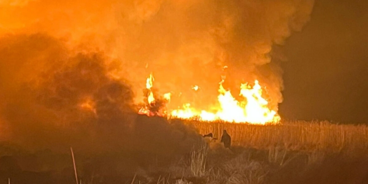 Hakkari'deki korkutan yangın: Alevler 'Kuş Cenneti'ne sıçradı!