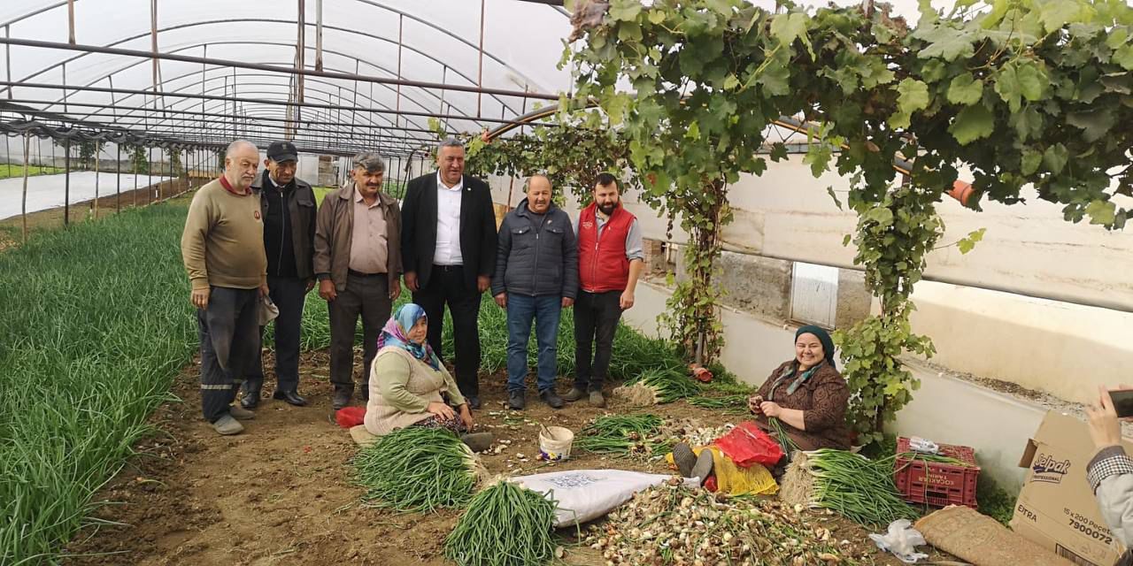 Gürer: “Dünyada gıda fiyatları düşüyor, Türkiye’de raflar alev alev”