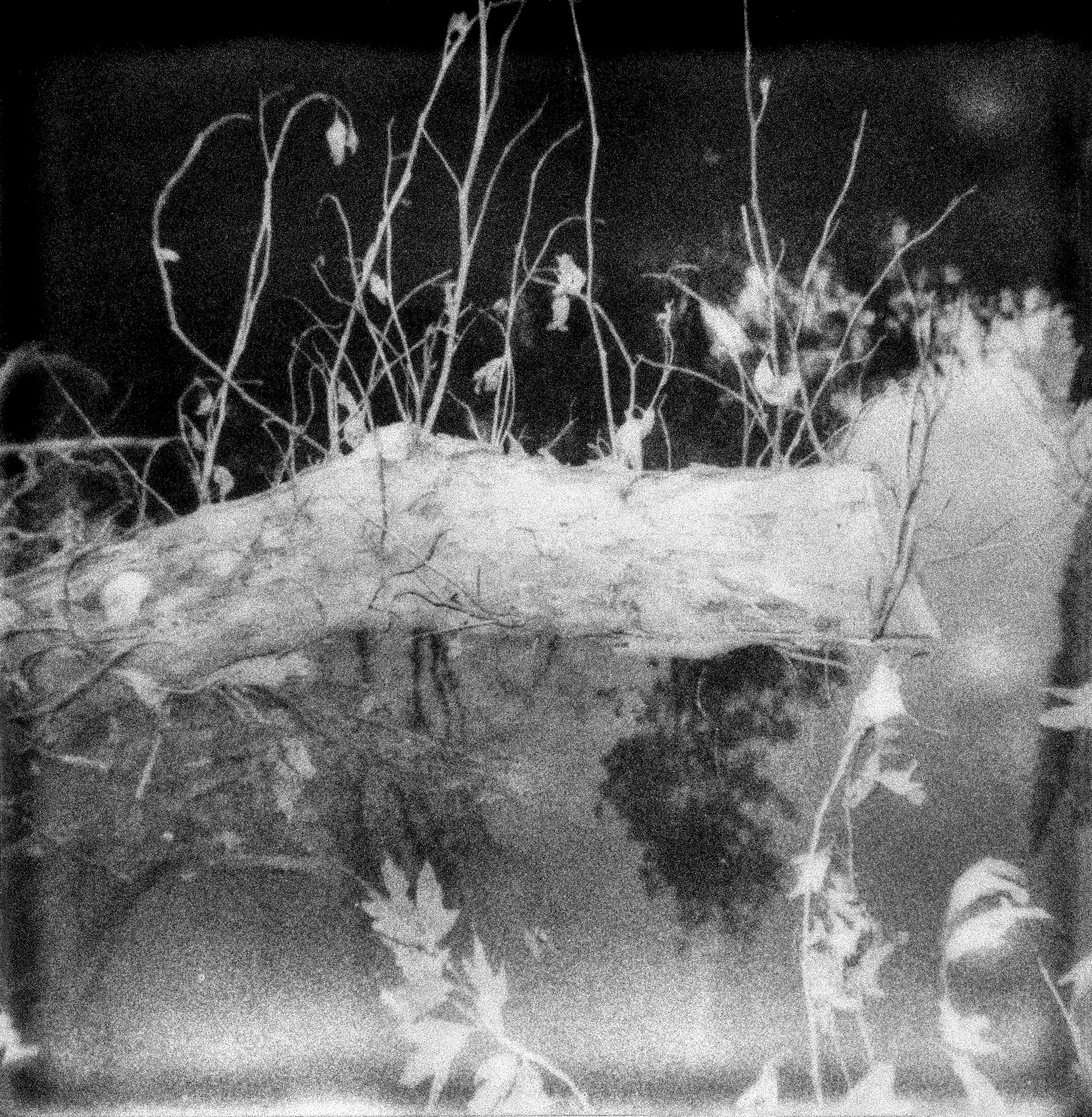 “Adlandırılamayan” sergisi sanatseverlerle buluşuyor