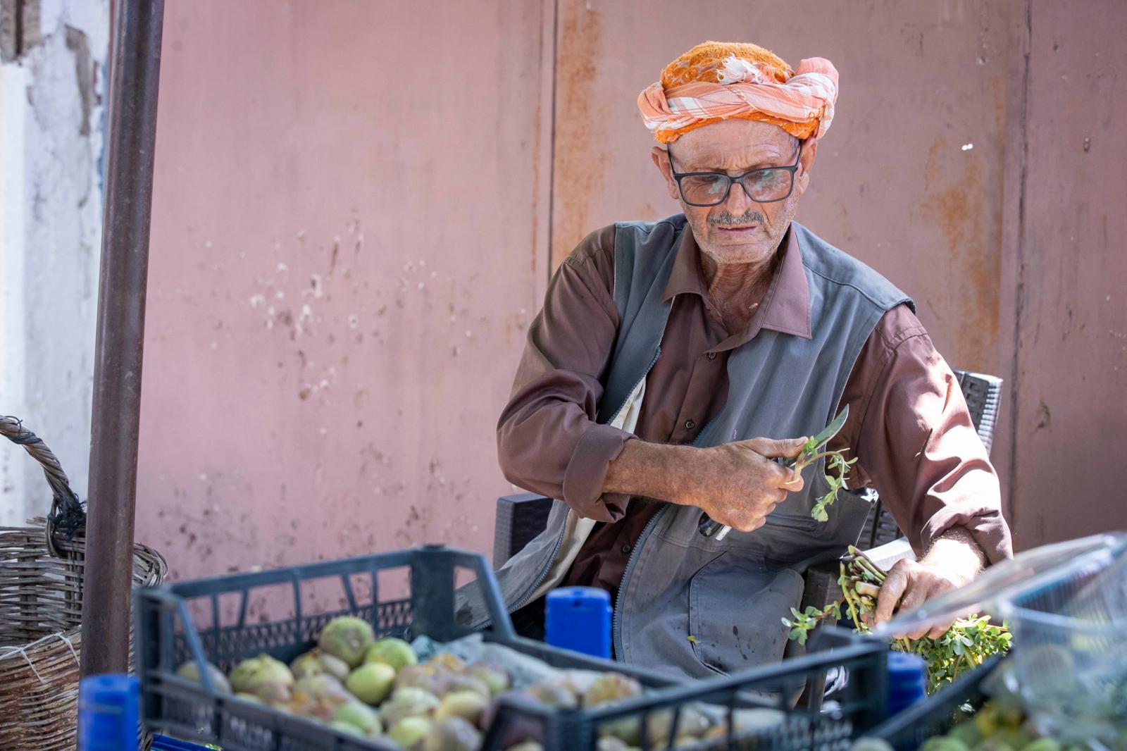 Beydağ incirinin katma değeri artıyor: İzmir Büyükşehir Belediyesi’nden üreticiye kerevet desteği