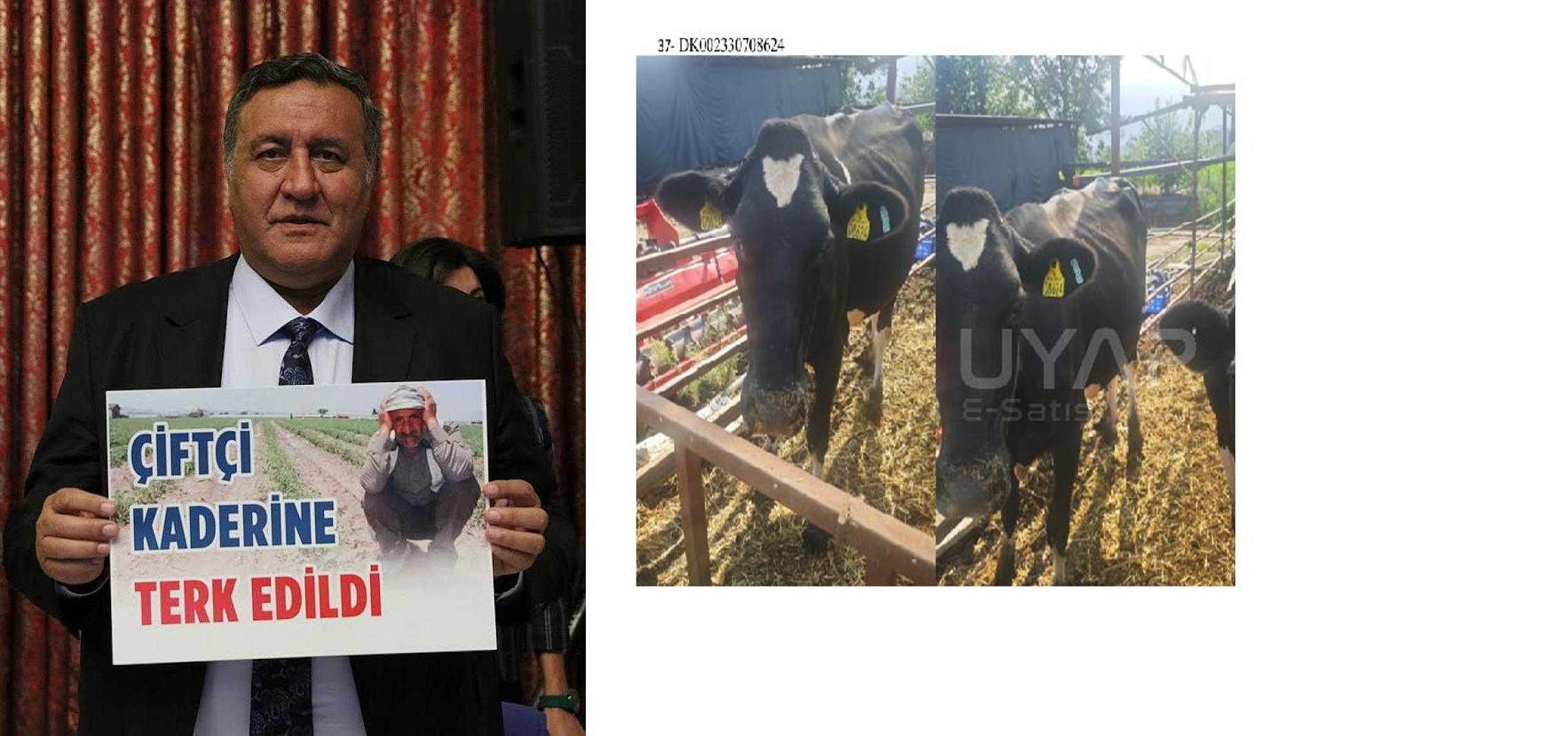 2025’te icra kıskacı: Traktör, arazi, inek, keçi ve buğday bile haczedildi