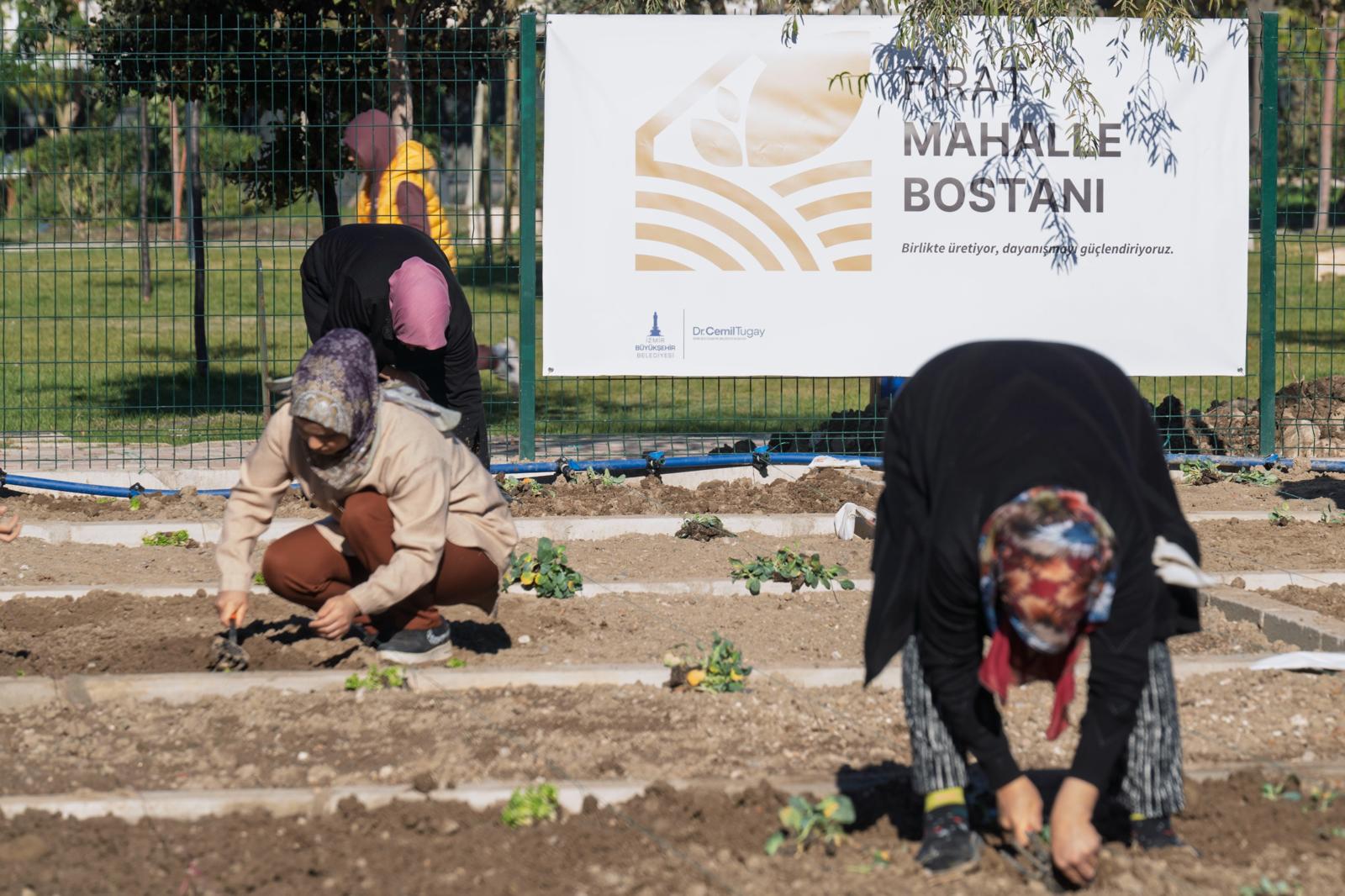 İzmir’de mahalle bostanlarında kış mesaisi başladı